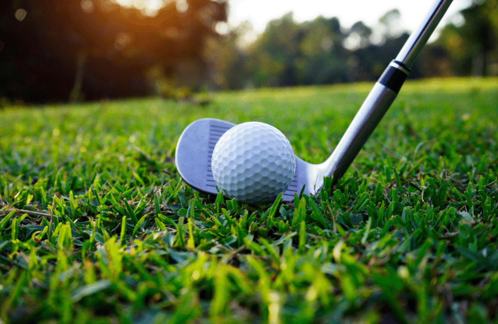 Close-up of a golf club positioned behind a white golf ball on lush green grass